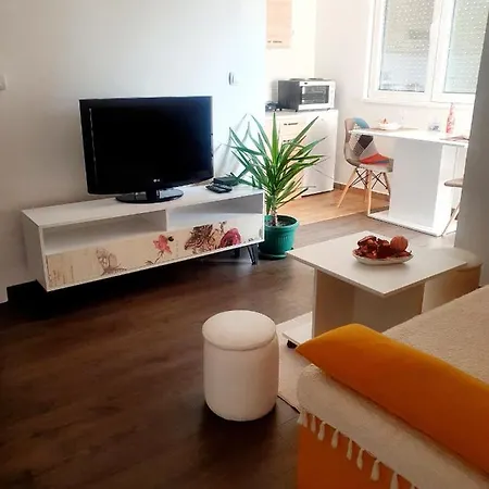 Apartment Grkov *